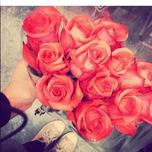 Meet your Posher, Daniella